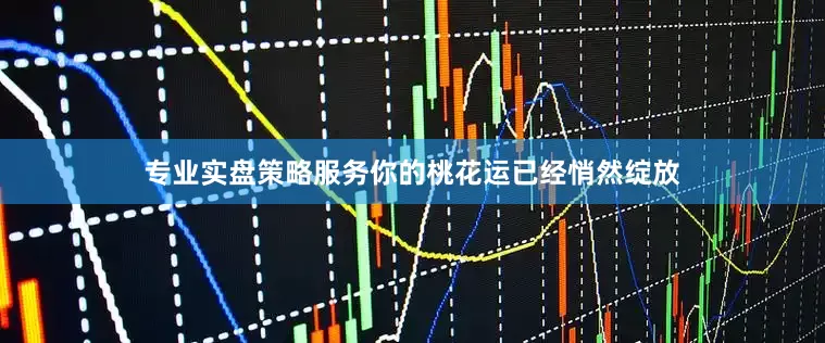 专业实盘策略服务你的桃花运已经悄然绽放