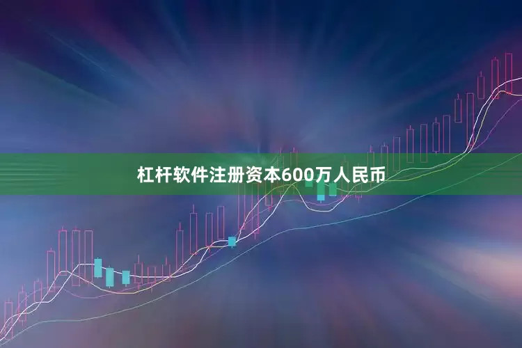 杠杆软件注册资本600万人民币