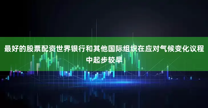 最好的股票配资世界银行和其他国际组织在应对气候变化议程中起步较早