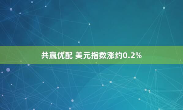 共赢优配 美元指数涨约0.2%