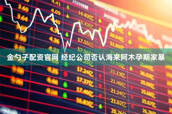 金勺子配资官网 经纪公司否认海来阿木孕期家暴